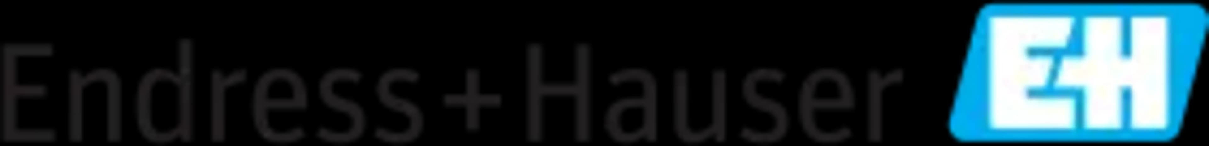 endress-hauser