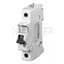 Circuit Breaker, Miniature, DIN Rail Mount, 15A, 1P, 240VAC