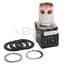 800T Momentary Push Button, Full Voltage, 12-130 V AC/DC, LED, Ext 549923