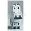 Breaker, Miniature, 2P, 2A, 120/240VAC, 10kAIC, DIN Rail Mount