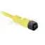 889 DC Micro Cable 179121
