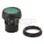 A-B 800FP-LF3PN3GQ10 22mm Momentary