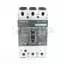 LFX3B250