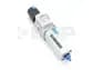 MS4-LFR-1/4-D7-E-R-M-RG-AS