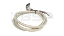 Allen Bradley 1492-CAB012B69 Allen Bradley 1492-CAB012B69