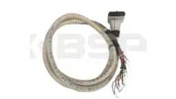 Allen Bradley 1492-CAB012B69 Allen Bradley 1492-CAB012B69