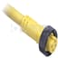 Cordset, Mini/Mini Plus, Female, 5-Pin, PVC, Yellow, Unshielded, 12'