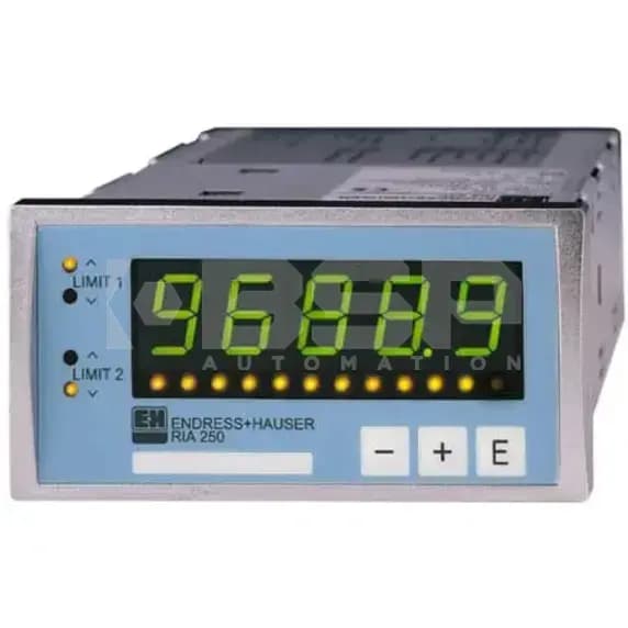 Endress Hauser RIA-250-A11R31 Endress Hauser RIA-250-A11R31