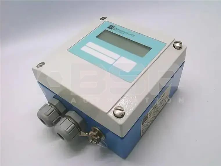 Endress Hauser RDL10-T1B1B2 Endress Hauser RDL10-T1B1B2