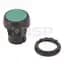 A-B 800FP-F3PX10V 22mm Momentary Pu