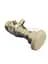 PMP55-AA21RD1PGBTDJE4A