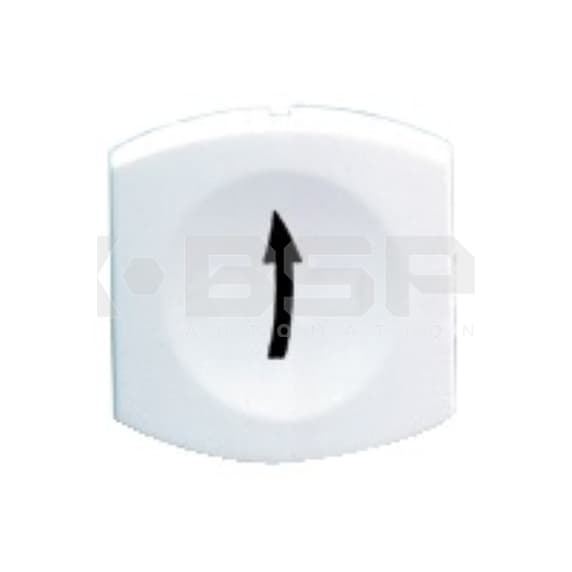 Schneider Electric ZB6YC119 Schneider Electric ZB6YC119