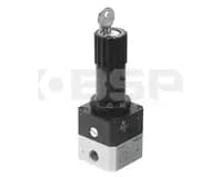 FESTO LRPS-1/4-0,7 FESTO LRPS-1/4-0,7