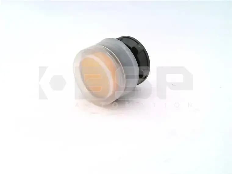 Schneider Electric ZB5AW553 Schneider Electric ZB5AW553