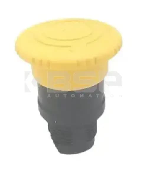 Schneider Electric ZB5AS55 Schneider Electric ZB5AS55