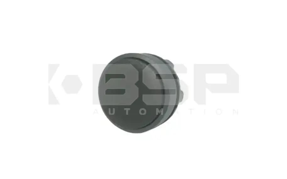 Schneider Electric ZB5AH2 Schneider Electric ZB5AH2
