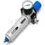 LFR-1/4-D-MINI-A-NPT