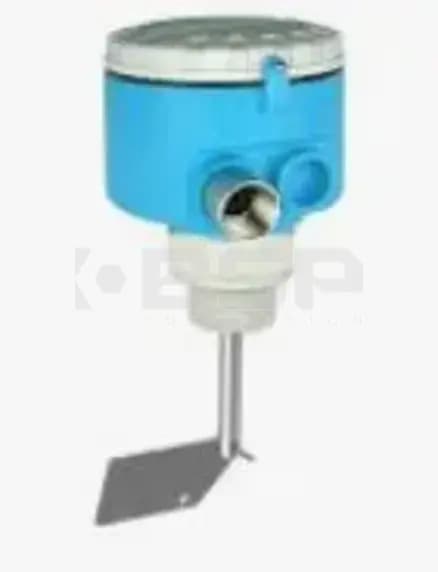 Endress Hauser FTE31-B6BB21 Endress Hauser FTE31-B6BB21