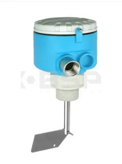 Endress Hauser FTE31-A3BB11 Endress Hauser FTE31-A3BB11