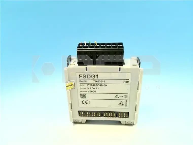 Endress Hauser FSDG1-71083048 Endress Hauser FSDG1-71083048