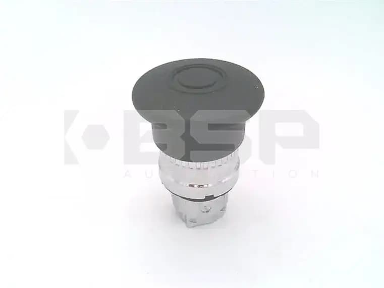 Schneider Electric ZB4BT2 Schneider Electric ZB4BT2