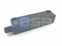 Schmersal RSS 36-I2-D-ST Schmersal RSS 36-I2-D-ST