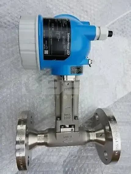 Endress Hauser DN25-77.163 Endress Hauser DN25-77.163