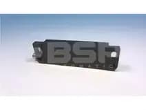 Schmersal BNS36-02ZG-ST-R Schmersal BNS36-02ZG-ST-R