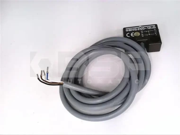 Schmersal BNS 250-12ZG Schmersal BNS 250-12ZG