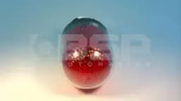 Schneider Electric XVR3B04 Schneider Electric XVR3B04