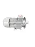 Siemens 1LE10231DB423AB4-Z Siemens 1LE10231DB423AB4-Z