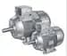 1LE1001-0EC42-2FA4
