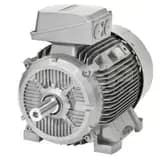 Siemens 1LA7166-4AA10-Z Siemens 1LA7166-4AA10-Z