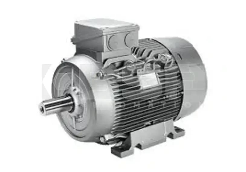 Siemens 1LA5163-4AA90-ZK09 Siemens 1LA5163-4AA90-ZK09