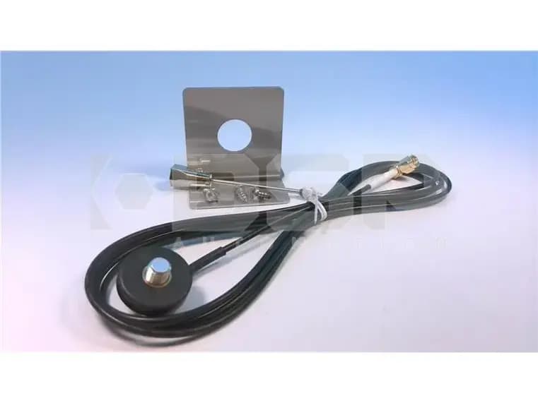 Phoenix Contact RAD-900-ANT-OMNI-2-2-RSMA Phoenix Contact RAD-900-ANT-OMNI-2-2-RSMA