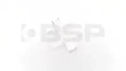 Phoenix Contact PAB-KTL 23 Phoenix Contact PAB-KTL 23