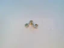 Allen Bradley X-162807 Allen Bradley X-162807