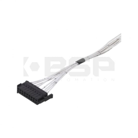 IFM EC1524 IFM EC1524