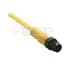 Cordset, DC Micro, ArmorStart I/O, 4-Pin, Straight Male/Female, 1m