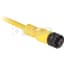 Cordsets, AC Micro, Straight Female, 4Pin, 250V, 4A, 2m