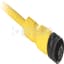 Cordsets, AC Micro, Straight Female, 4Pin, 250V, 4A, 5m