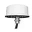 Antenna, 4 dBi Gain, Omni RP-SMA MIMO, 2.4/5GHz, 50W, 1' Pigtail