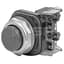 Push Button, Extended Head, 30mm, Black, NEMA 4/13