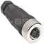 Pico M8, Male (External Threads), Straight, 3-Pin, 4-6mm (0.15-0.24") PG7