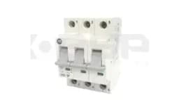 Allen Bradley 1492-SP3C200 Allen Bradley 1492-SP3C200