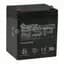 Uninterruptible Power Supply, External Battery, High Temp., 12VDC