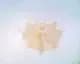 13611550