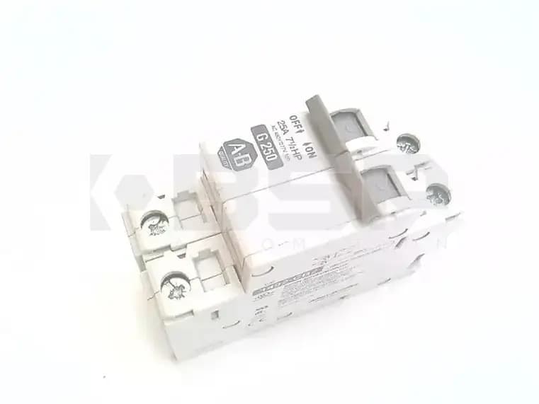 Allen Bradley 1492-CB2G250 Allen Bradley 1492-CB2G250