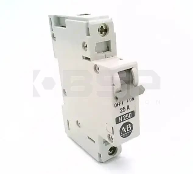 Allen Bradley 1492-CB1H250 Allen Bradley 1492-CB1H250