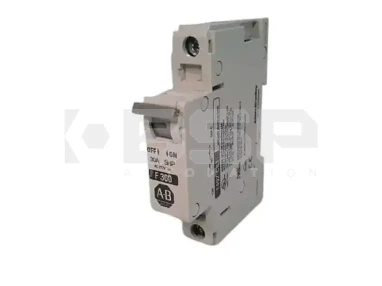 Allen Bradley 1492-CB1F300 Allen Bradley 1492-CB1F300